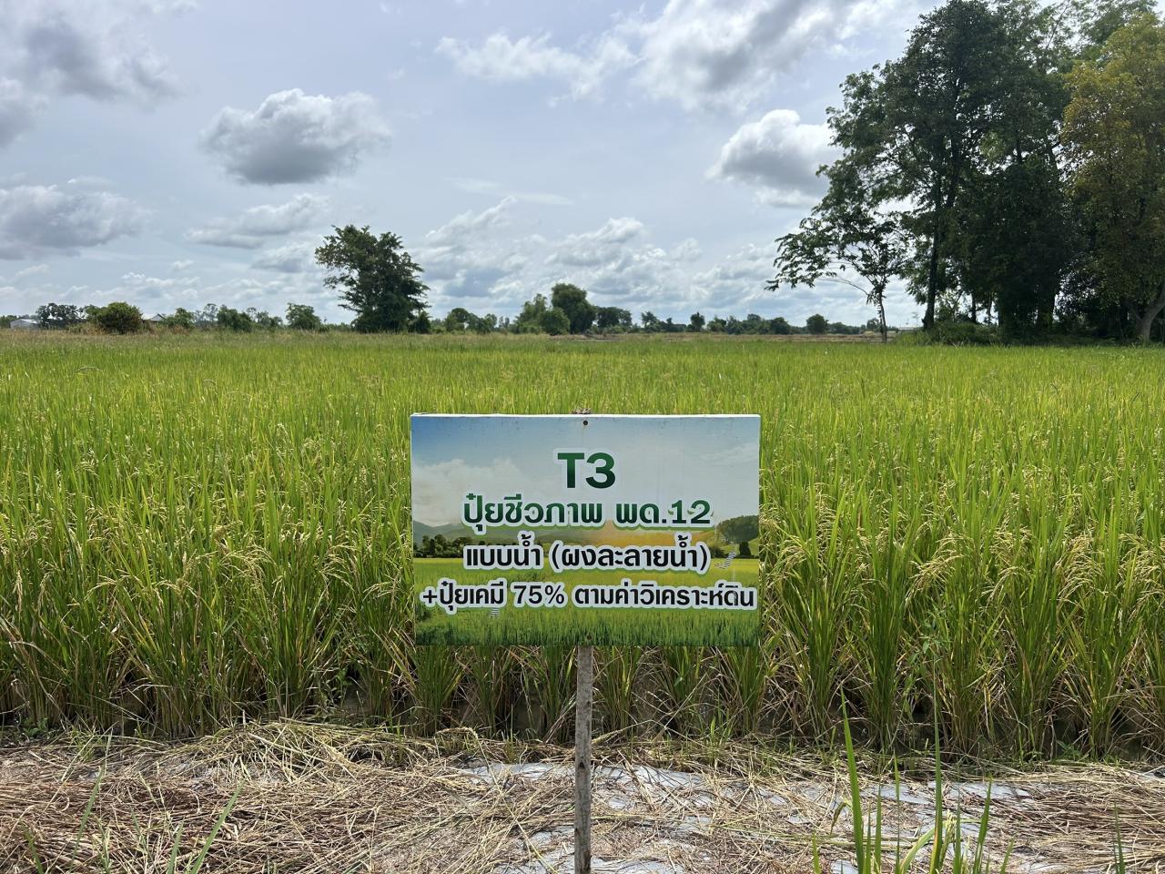 ภาพประกอบที่ 29