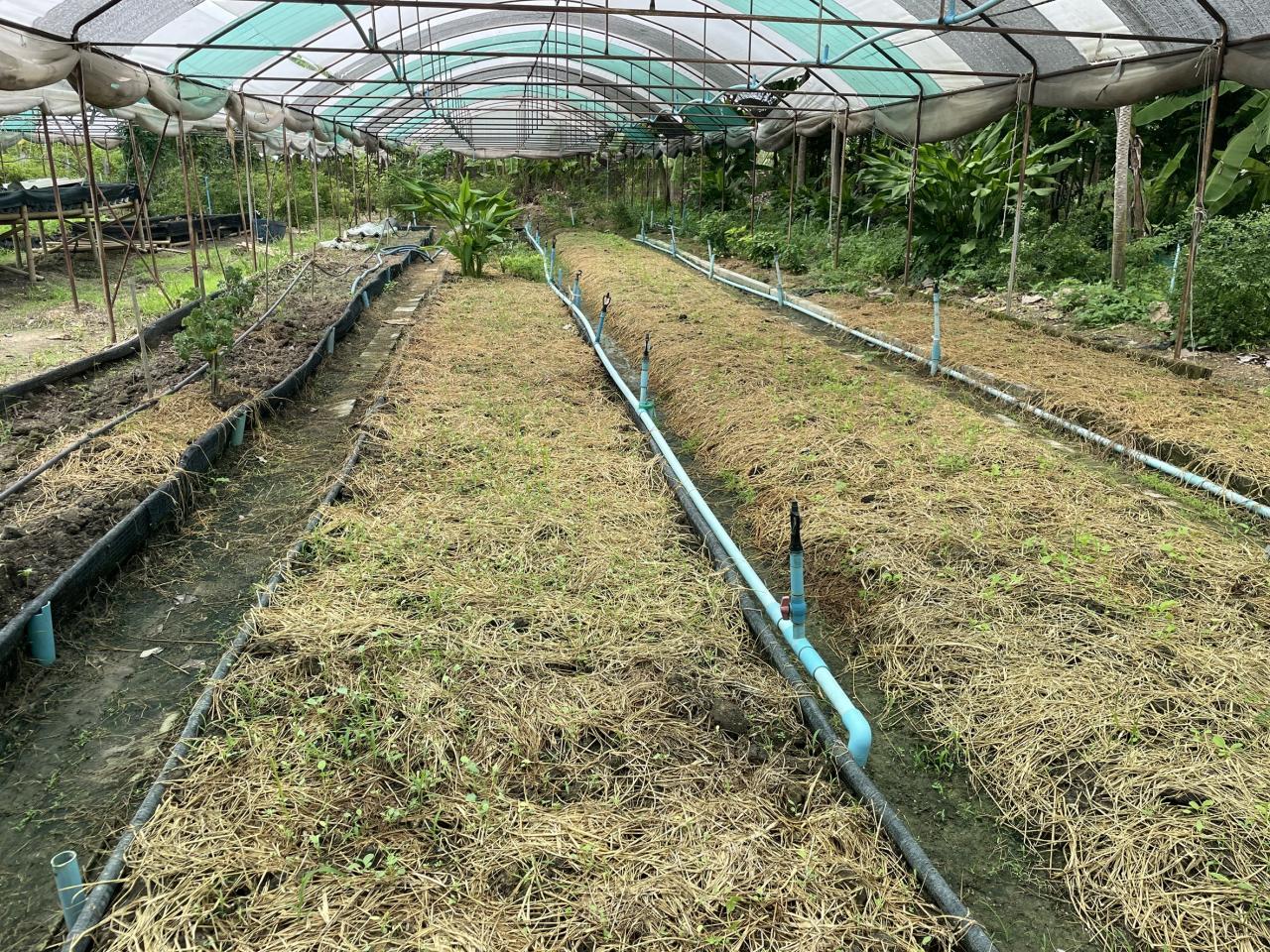 ภาพประกอบที่ 5