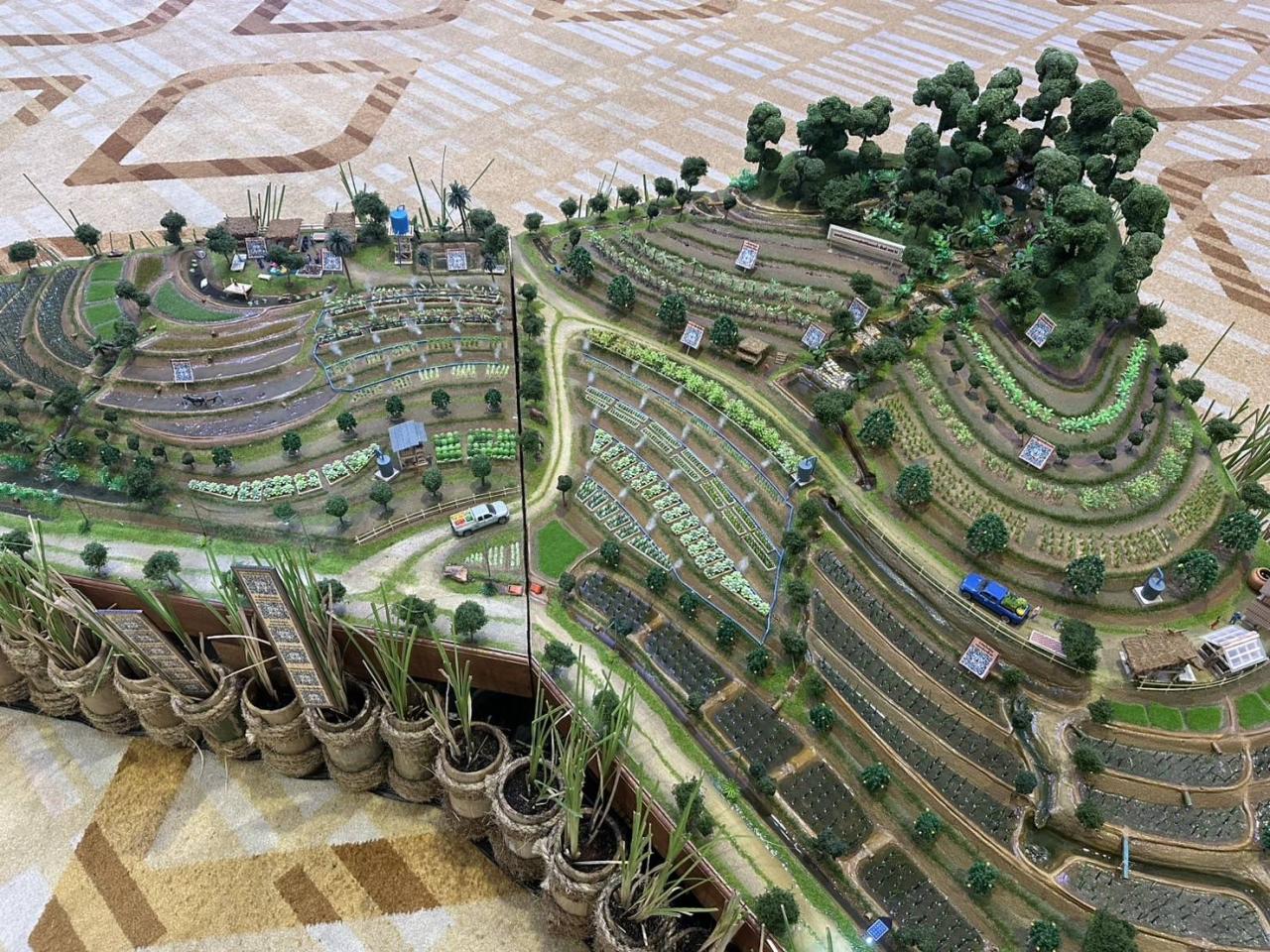 ภาพประกอบที่ 12