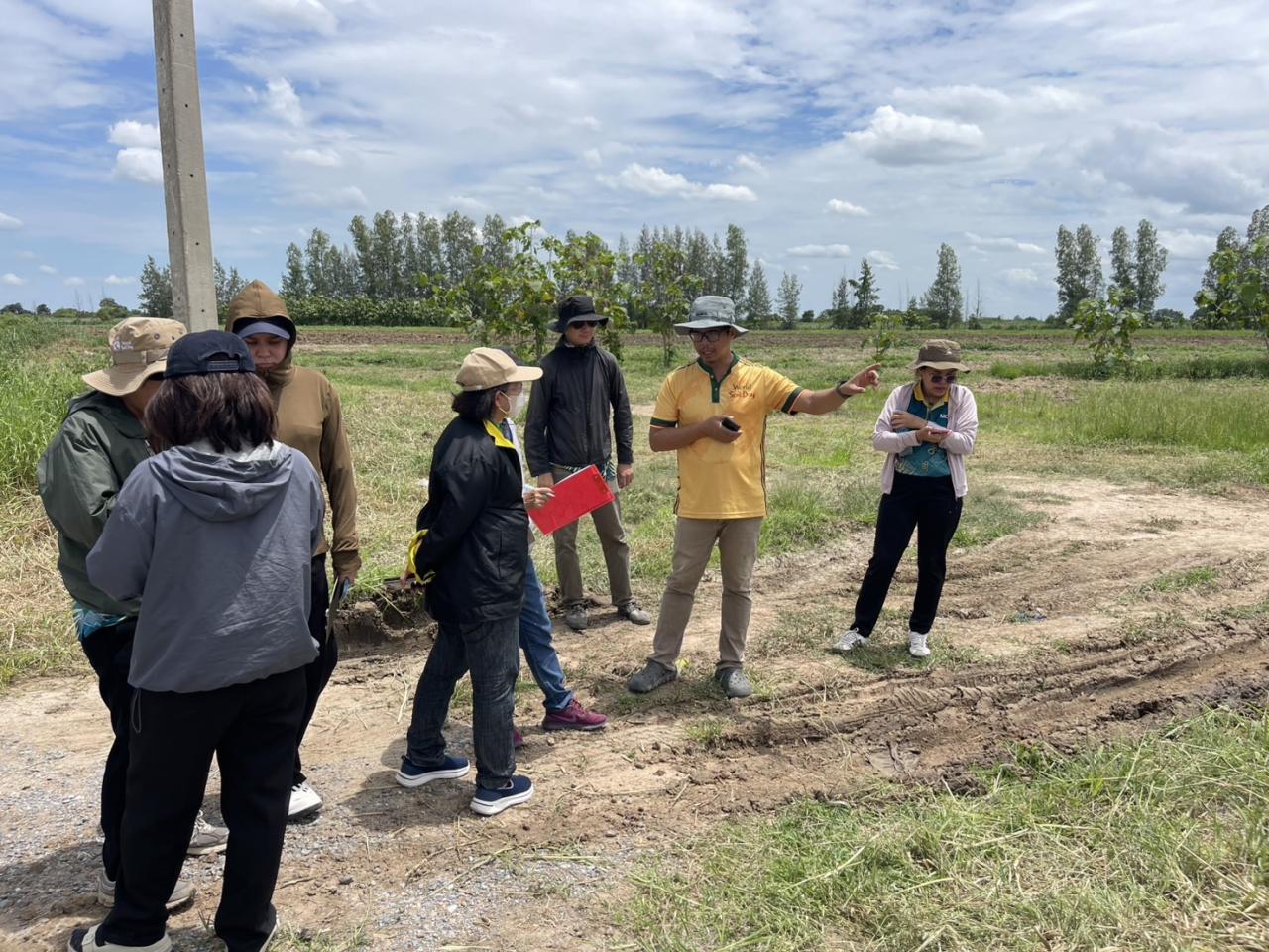 ภาพประกอบที่ 11