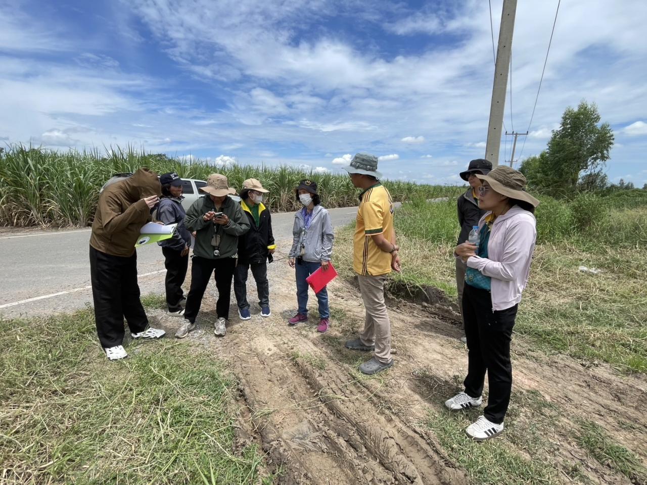 ภาพประกอบที่ 12