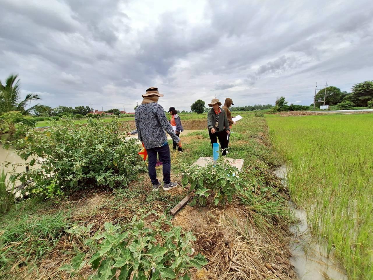 ภาพประกอบที่ 9