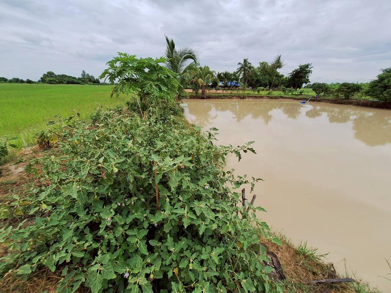 ภาพประกอบที่ 10