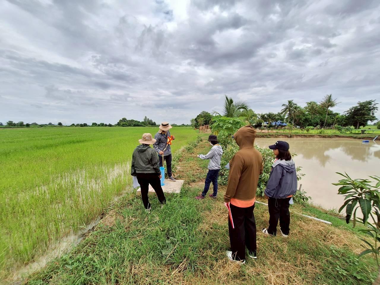 ภาพประกอบที่ 11