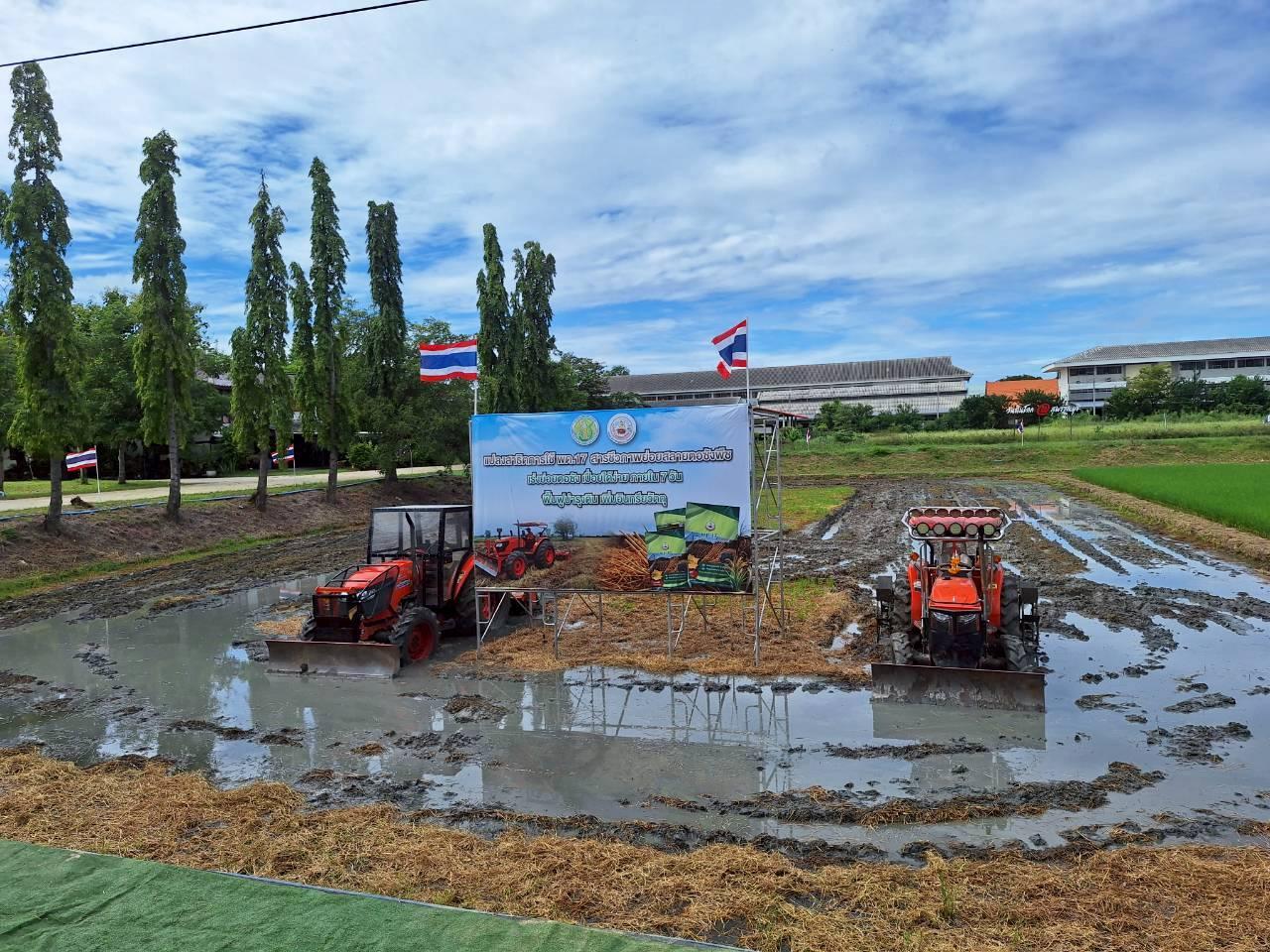 ภาพประกอบที่ 1