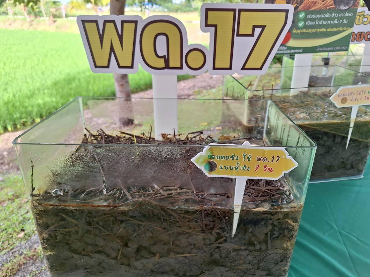 ภาพประกอบที่ 5