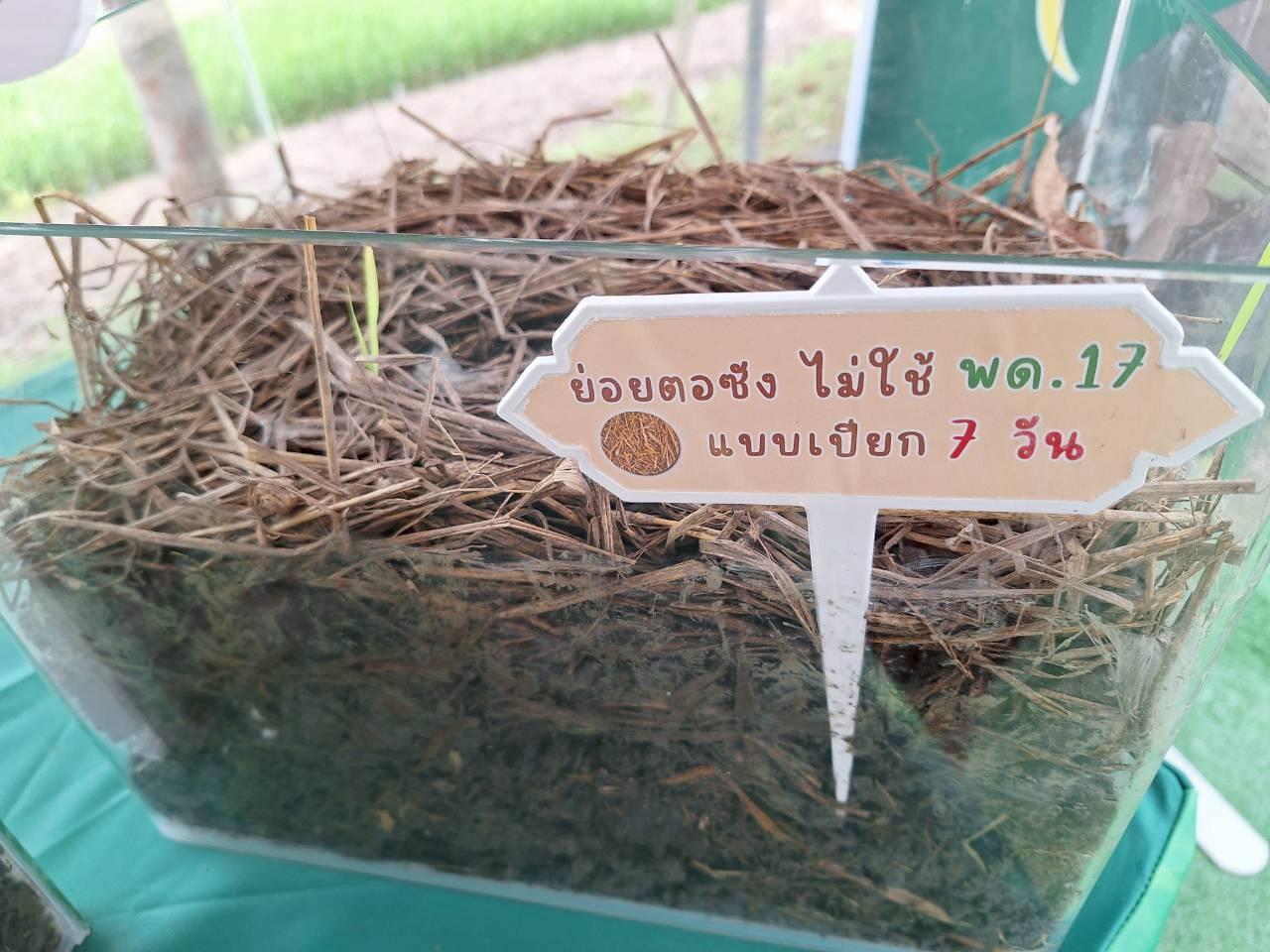 ภาพประกอบที่ 6