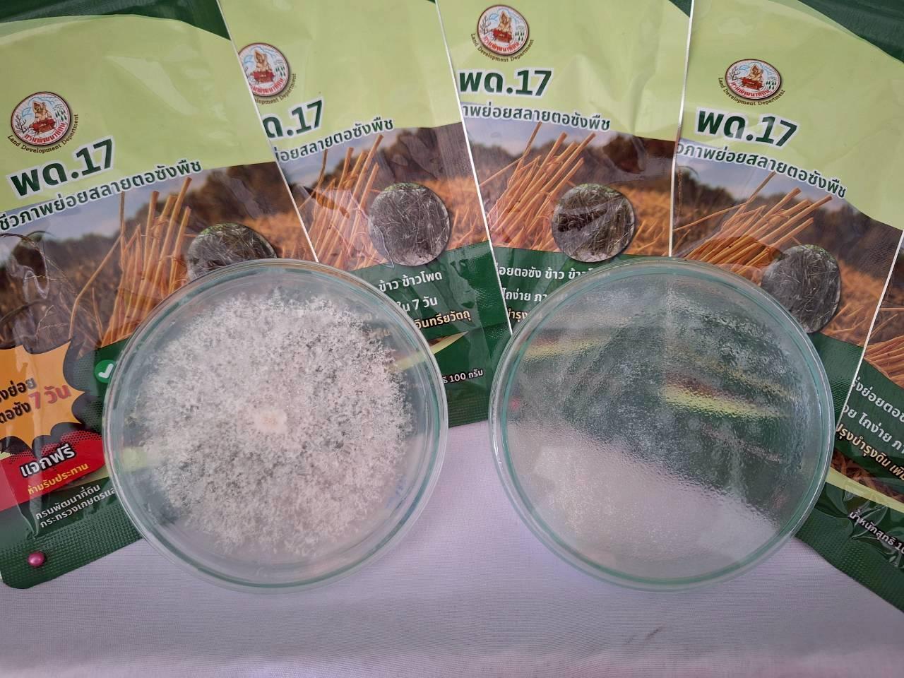 ภาพประกอบที่ 8