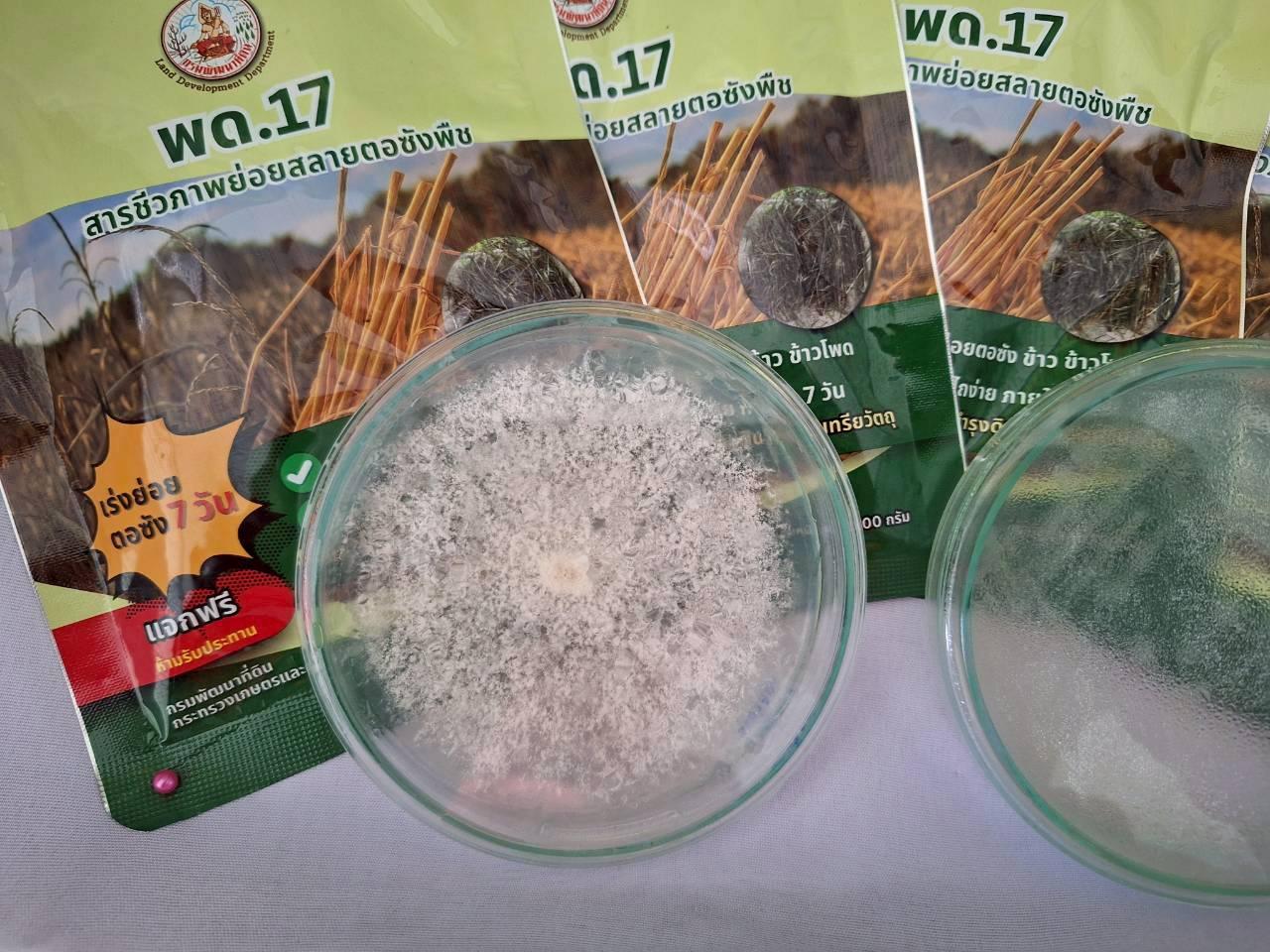 ภาพประกอบที่ 9