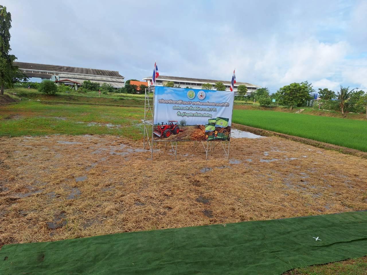 ภาพประกอบที่ 10