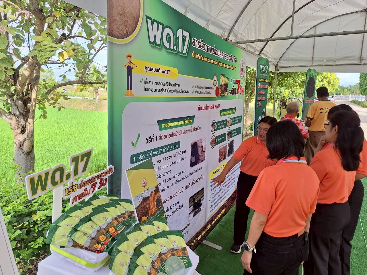 ภาพประกอบที่ 12