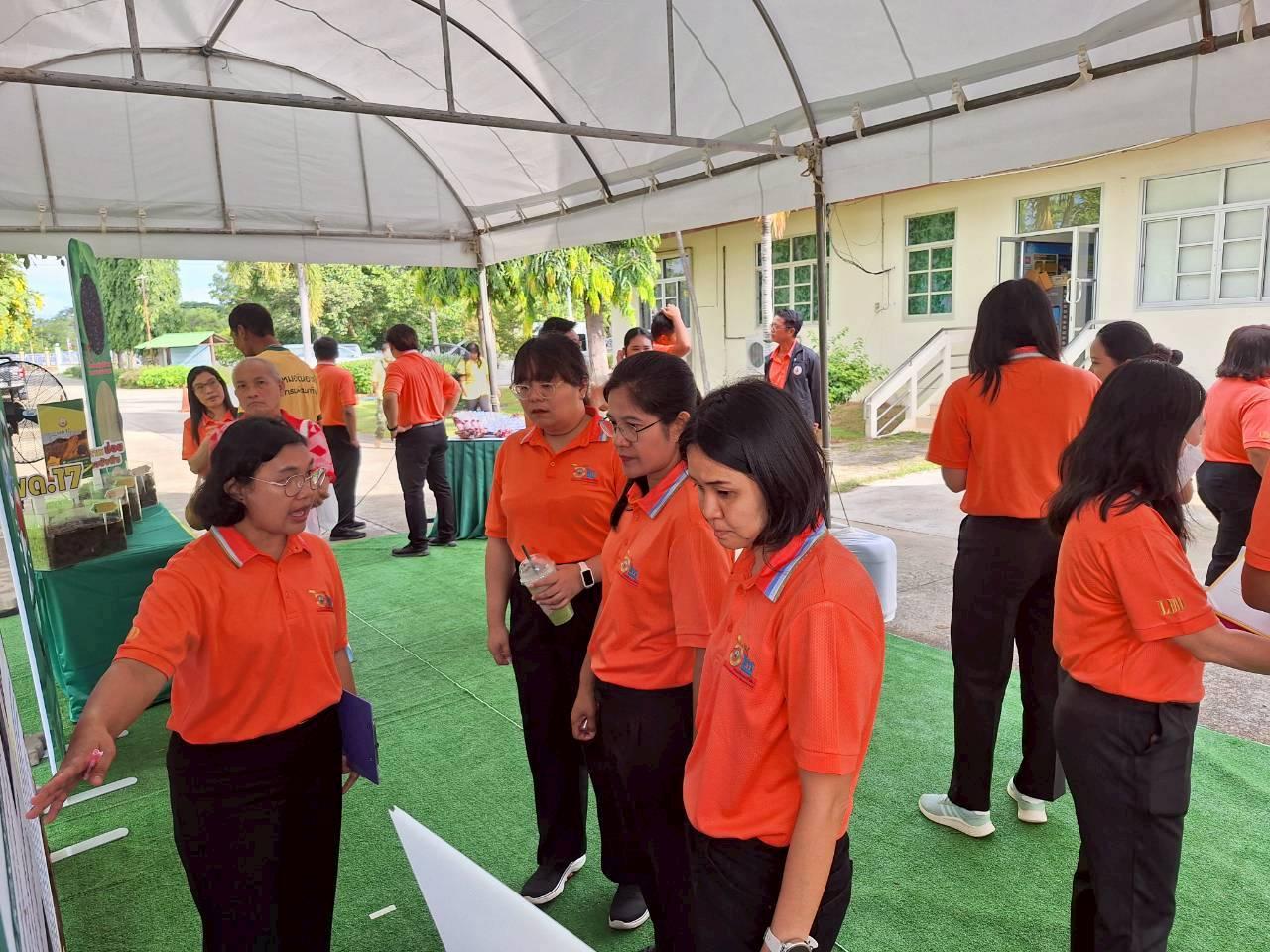 ภาพประกอบที่ 13