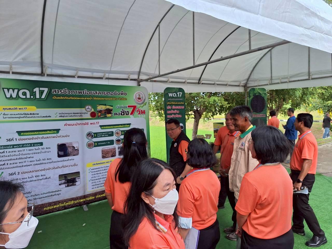 ภาพประกอบที่ 31