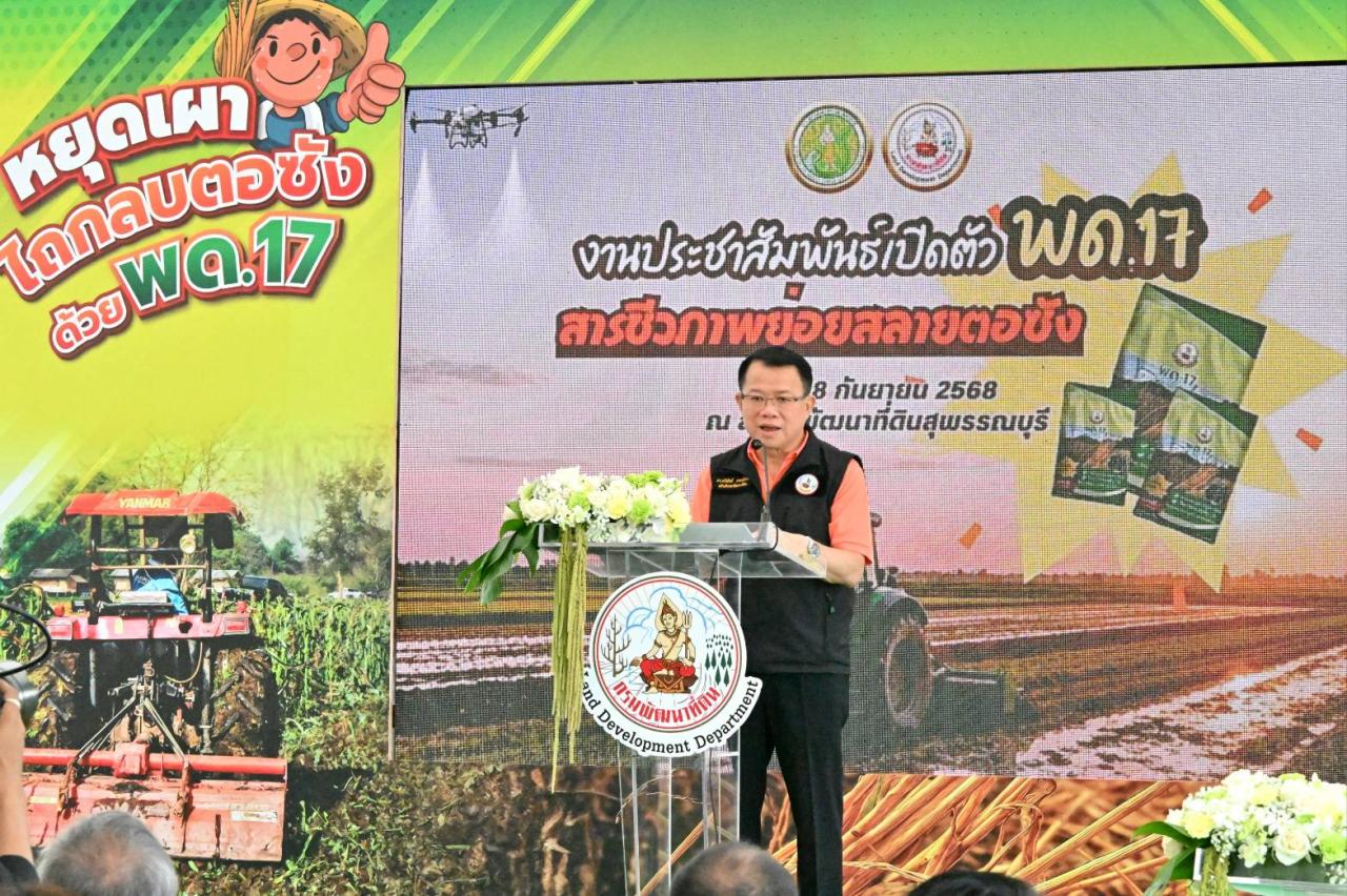 ภาพประกอบที่ 41