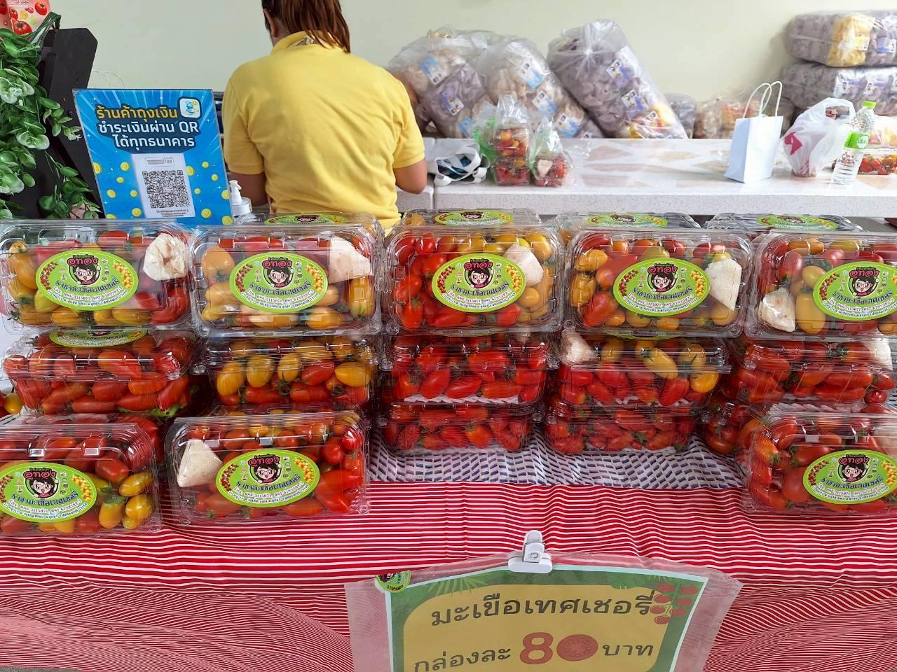 ภาพประกอบที่ 59