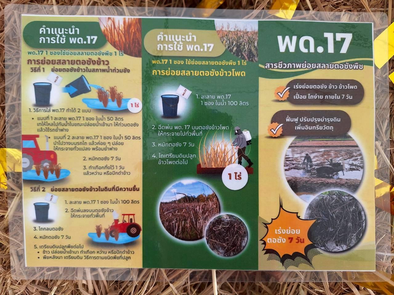 ภาพประกอบที่ 63