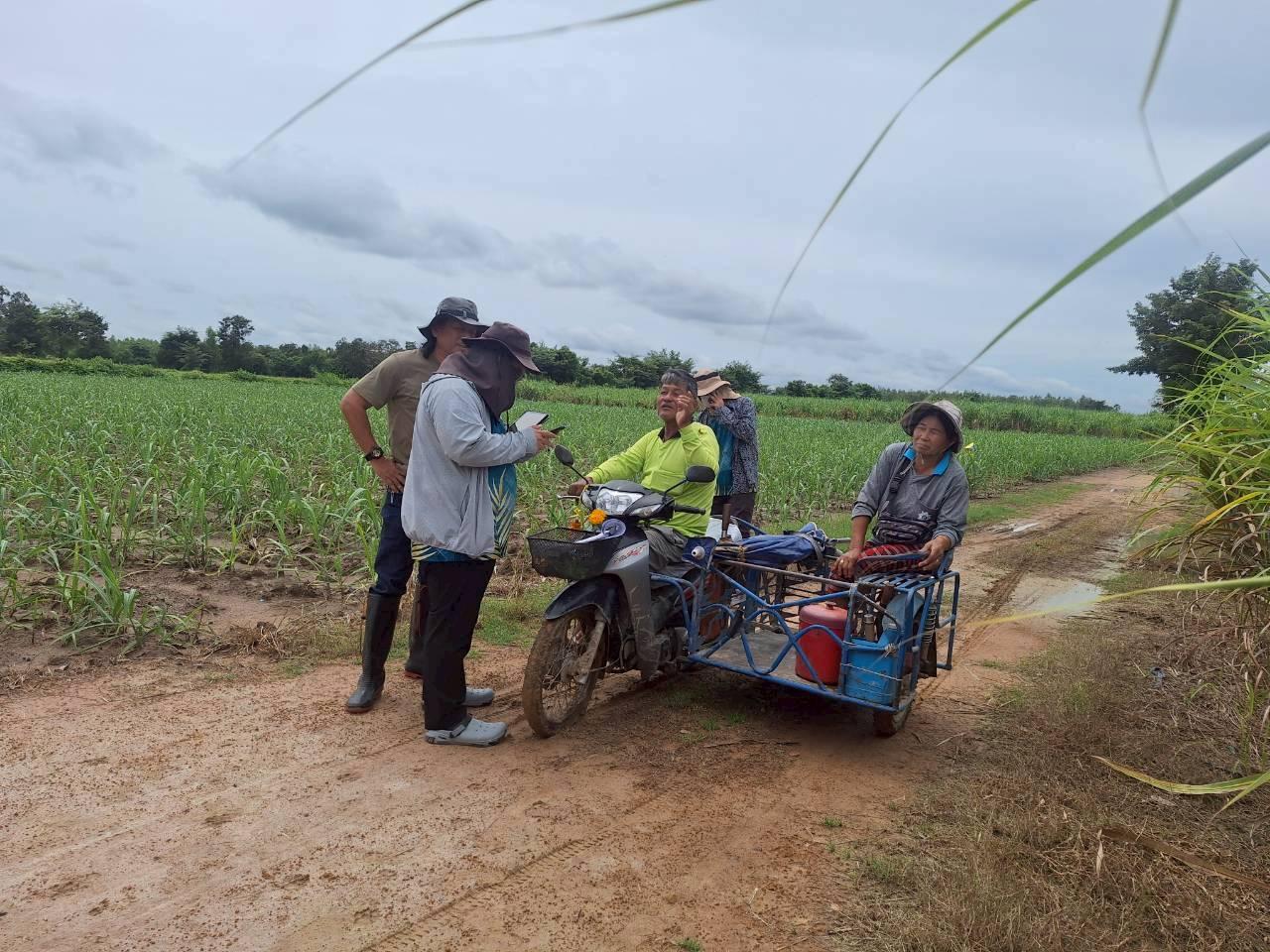 ภาพประกอบที่ 6