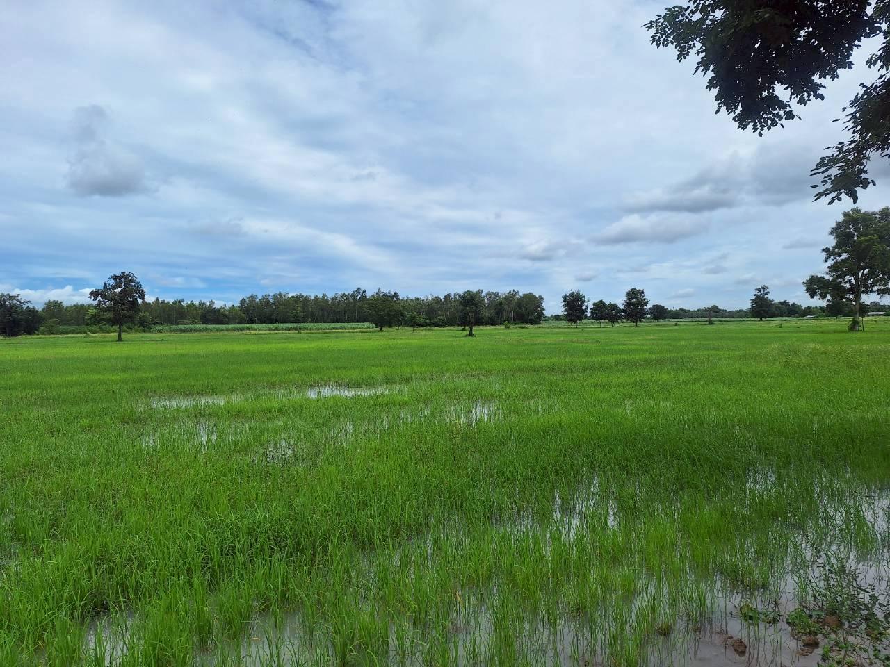 ภาพประกอบที่ 7