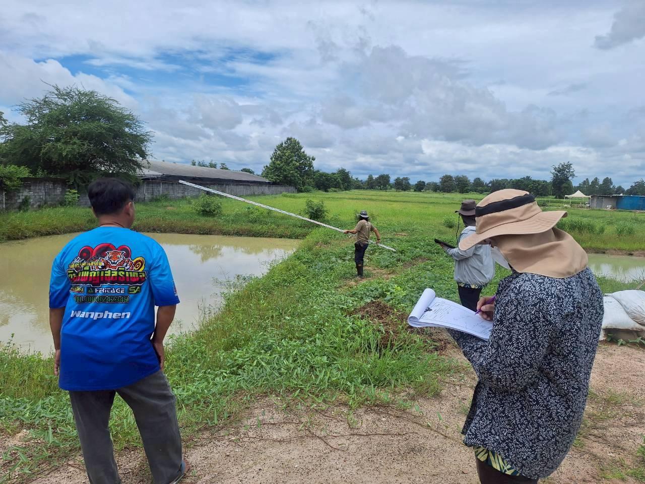 ภาพประกอบที่ 11