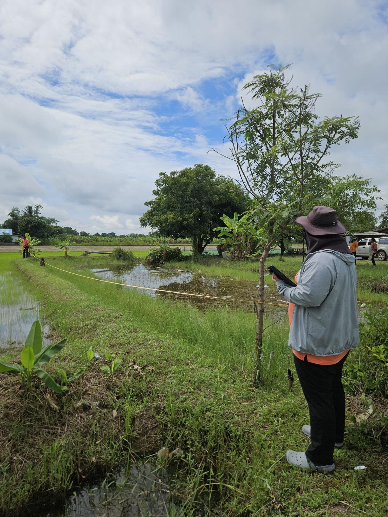 ภาพประกอบที่ 1