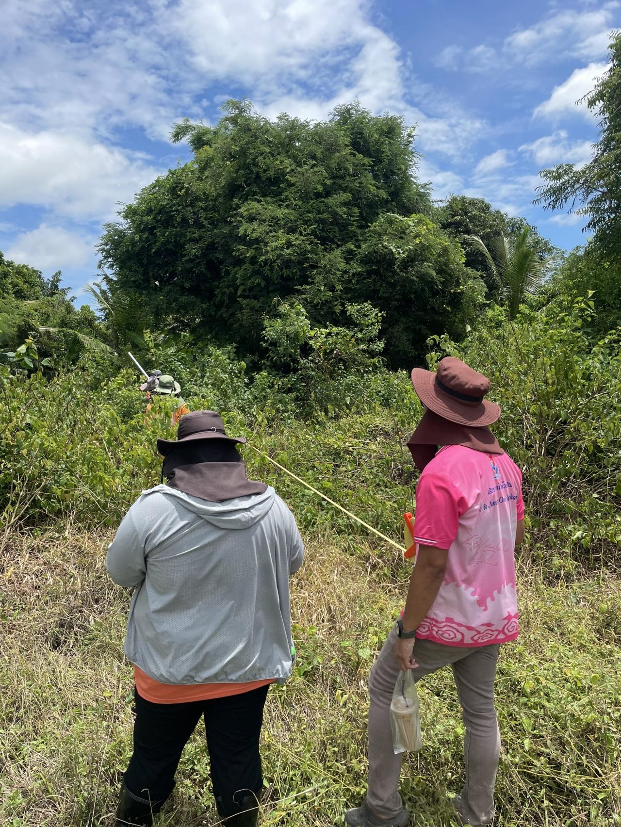 ภาพประกอบที่ 4