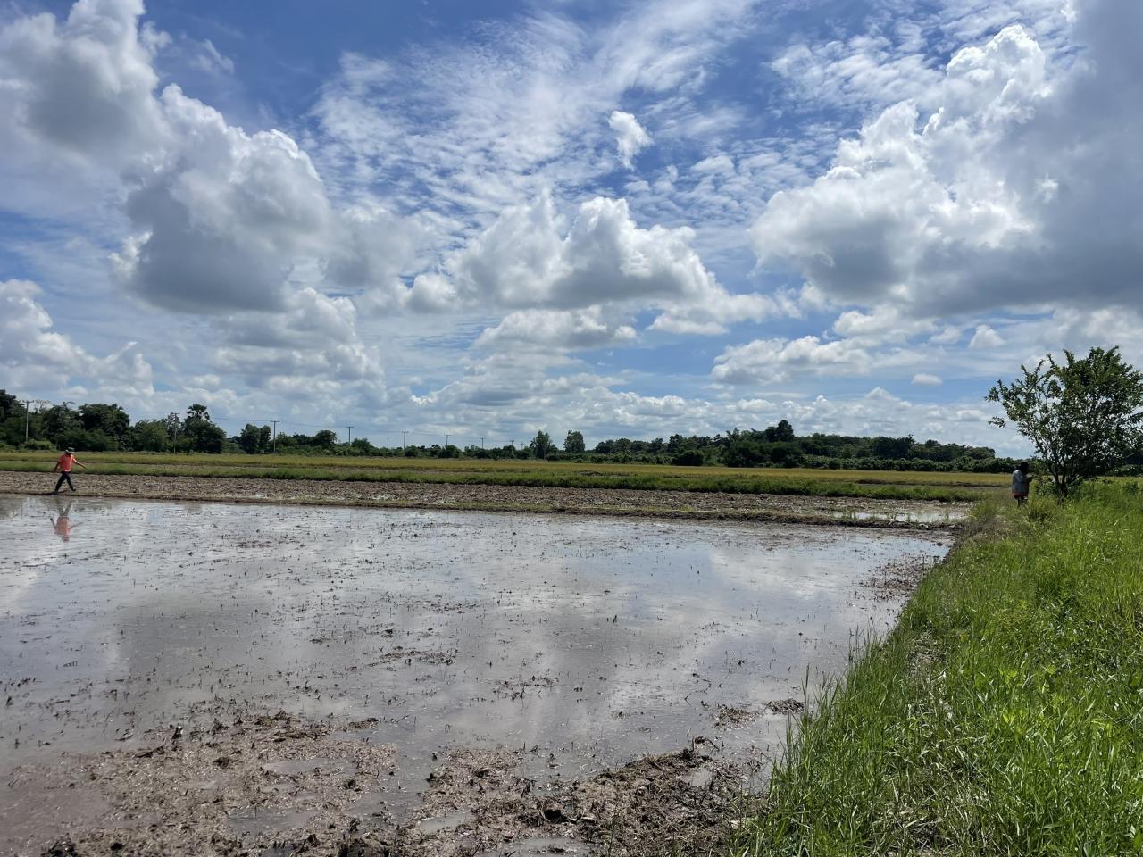 ภาพประกอบที่ 6