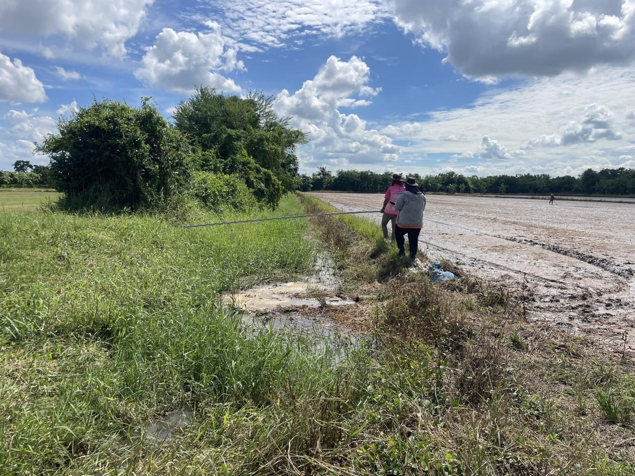 ภาพประกอบที่ 8