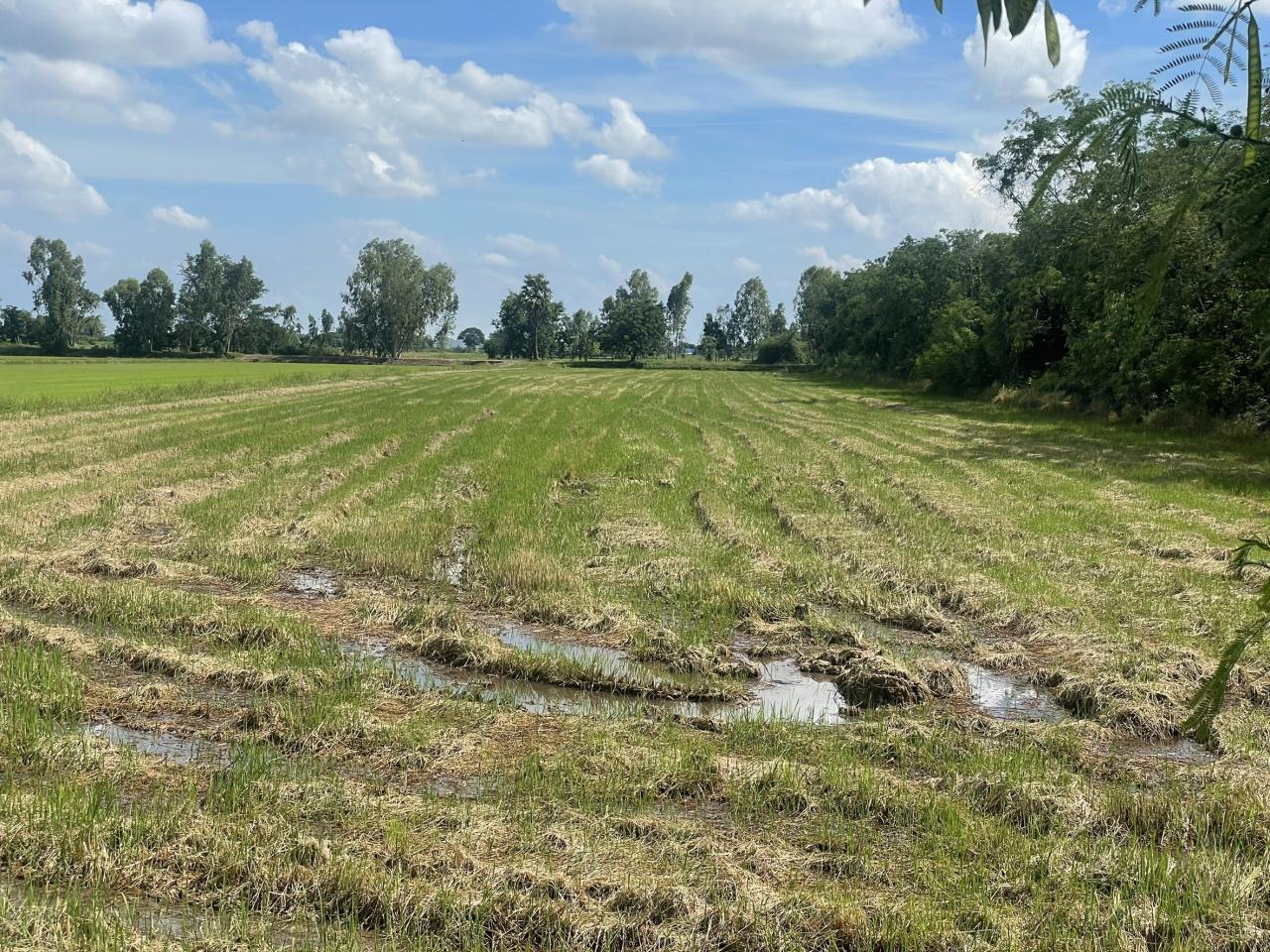 ภาพประกอบที่ 10