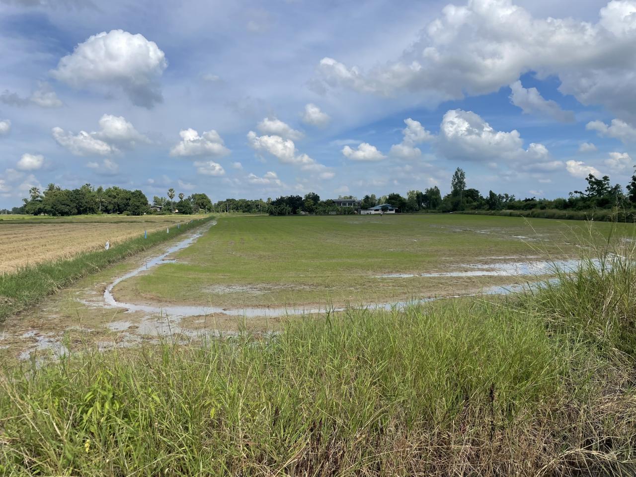 ภาพประกอบที่ 11