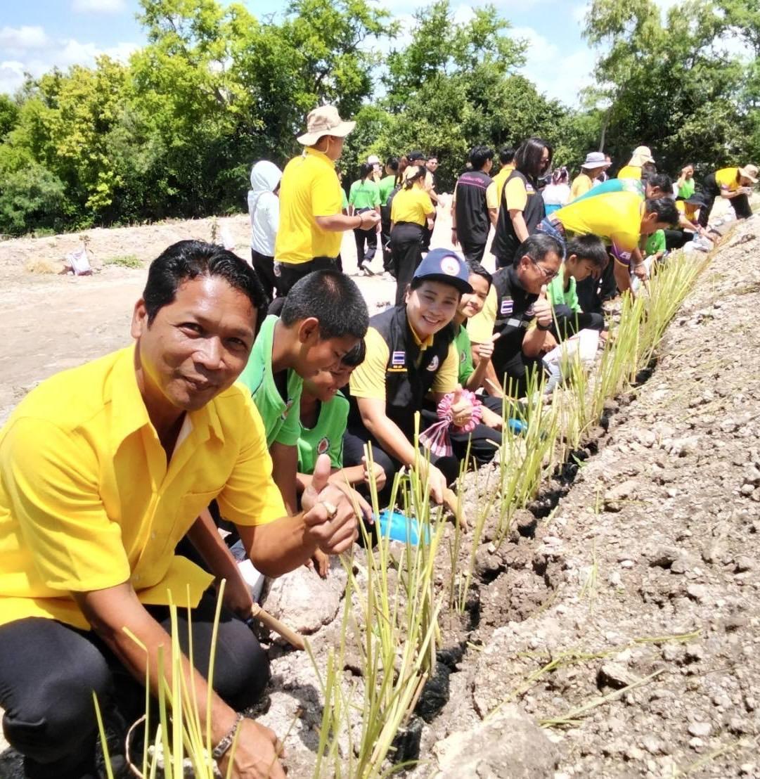 ภาพประกอบที่ 8