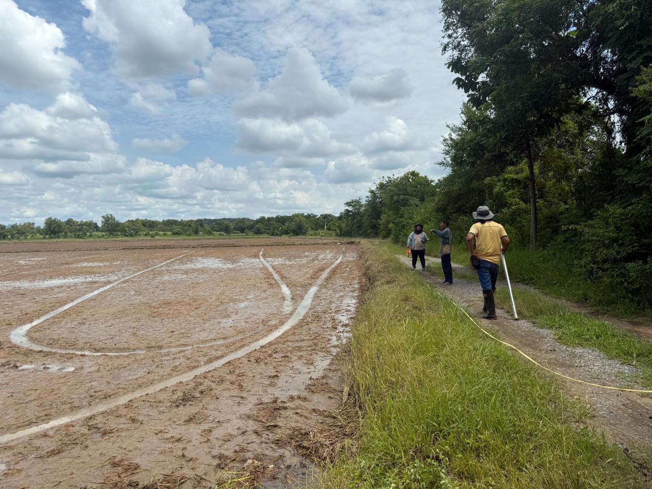 ภาพประกอบที่ 2