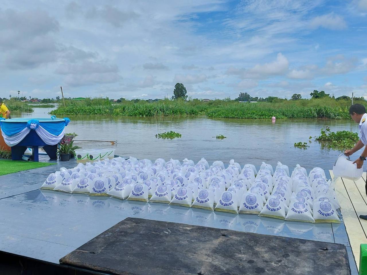 ภาพประกอบที่ 0