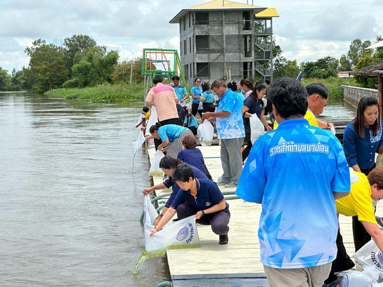 ภาพประกอบที่ 17