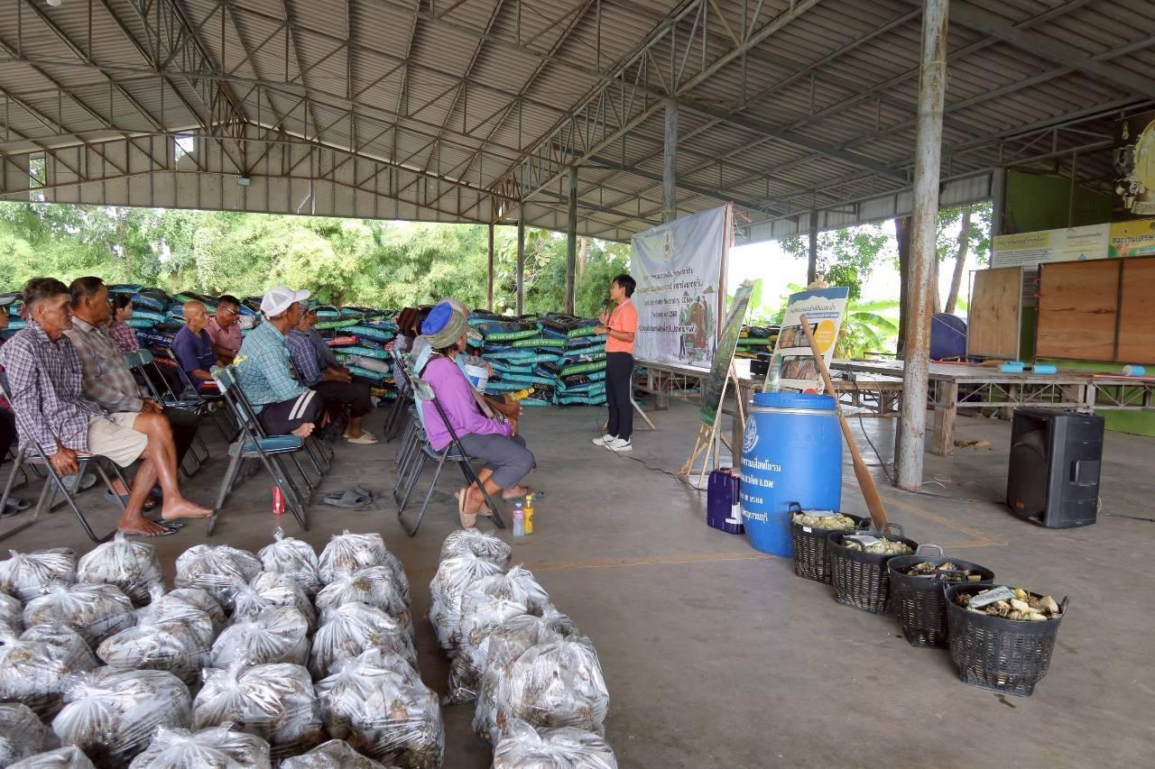 ภาพประกอบที่ 13