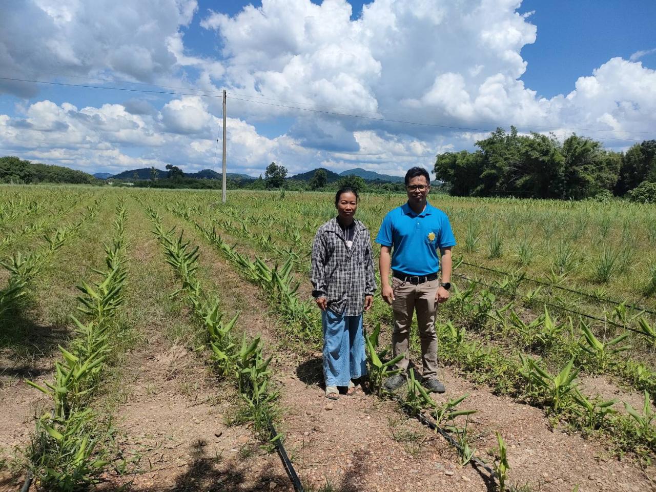 ภาพประกอบที่ 4