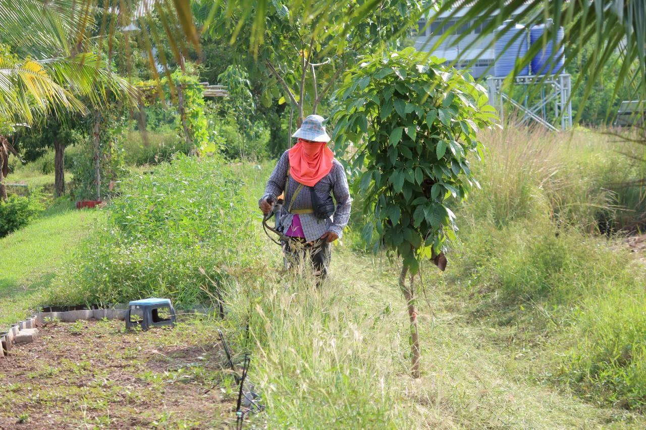 ภาพประกอบที่ 14