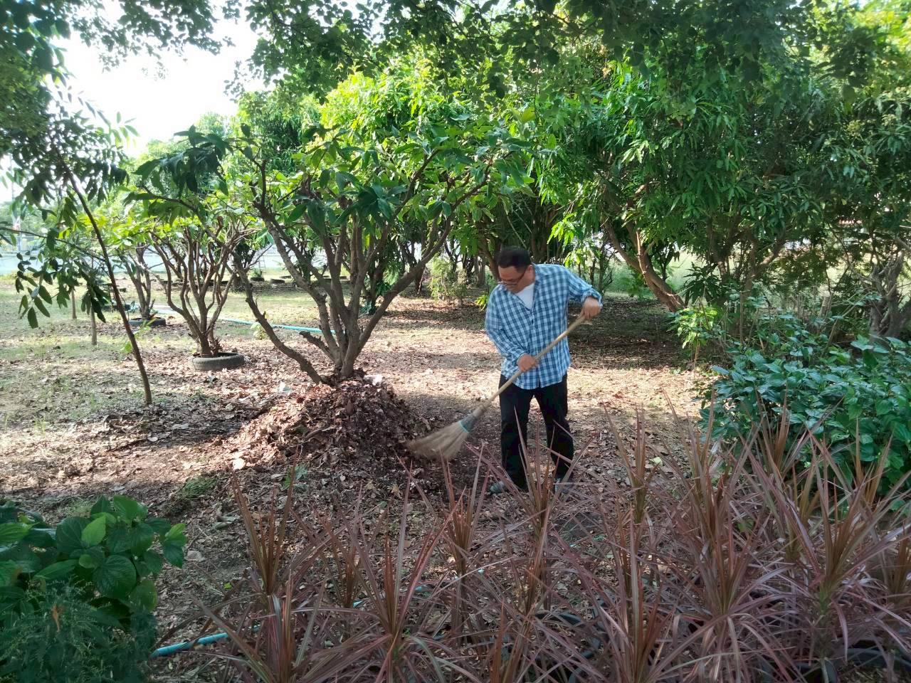 ภาพประกอบที่ 15