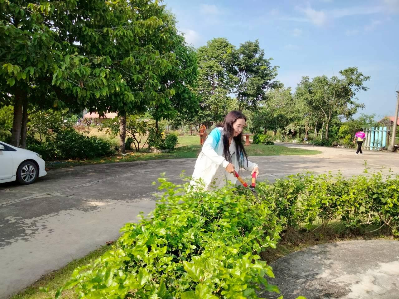 ภาพประกอบที่ 17