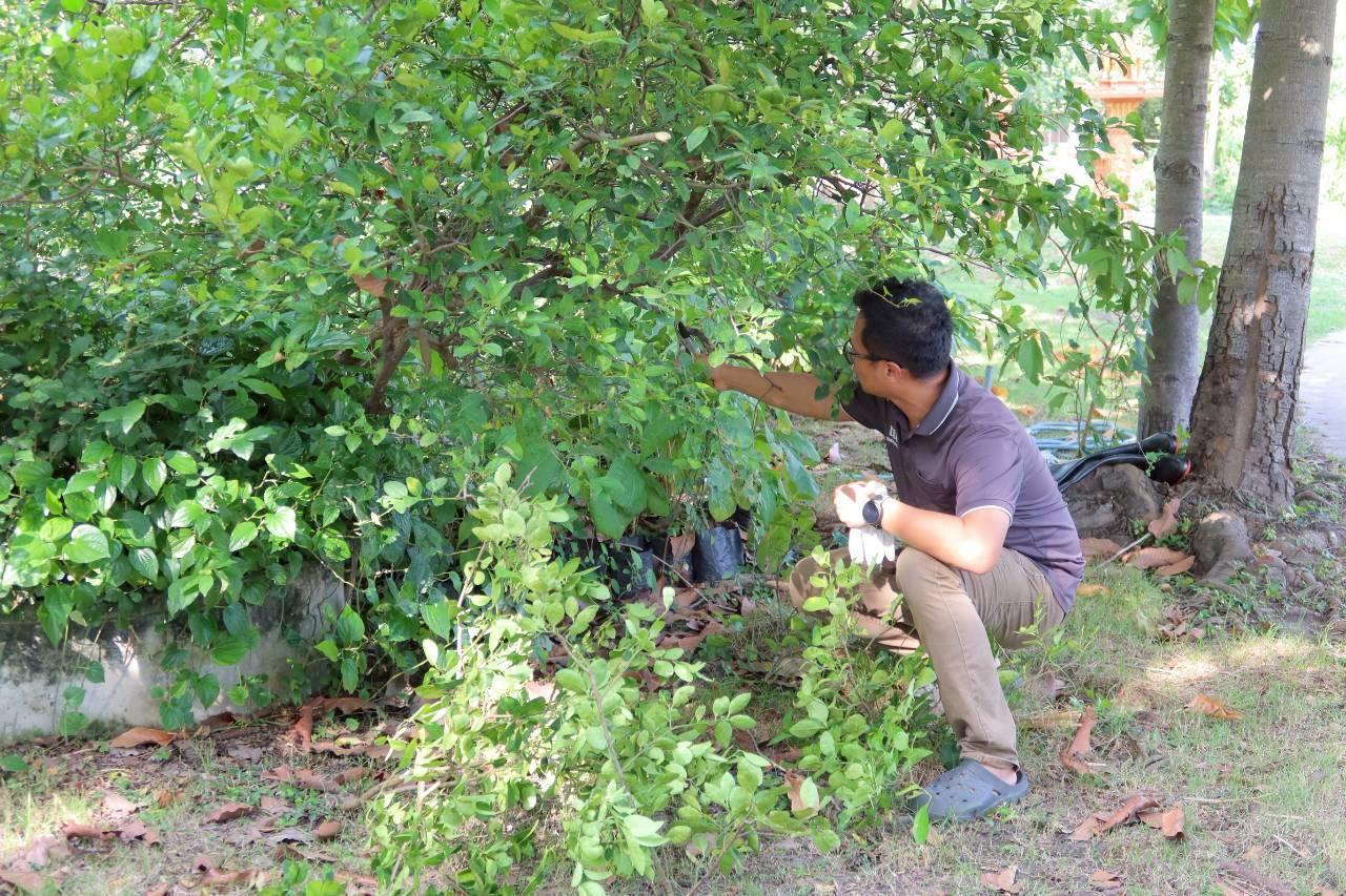 ภาพประกอบที่ 20