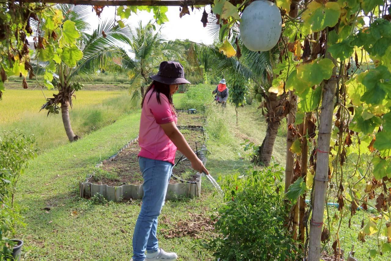 ภาพประกอบที่ 7