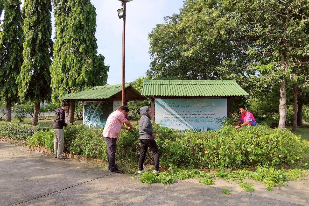 ภาพประกอบที่ 8