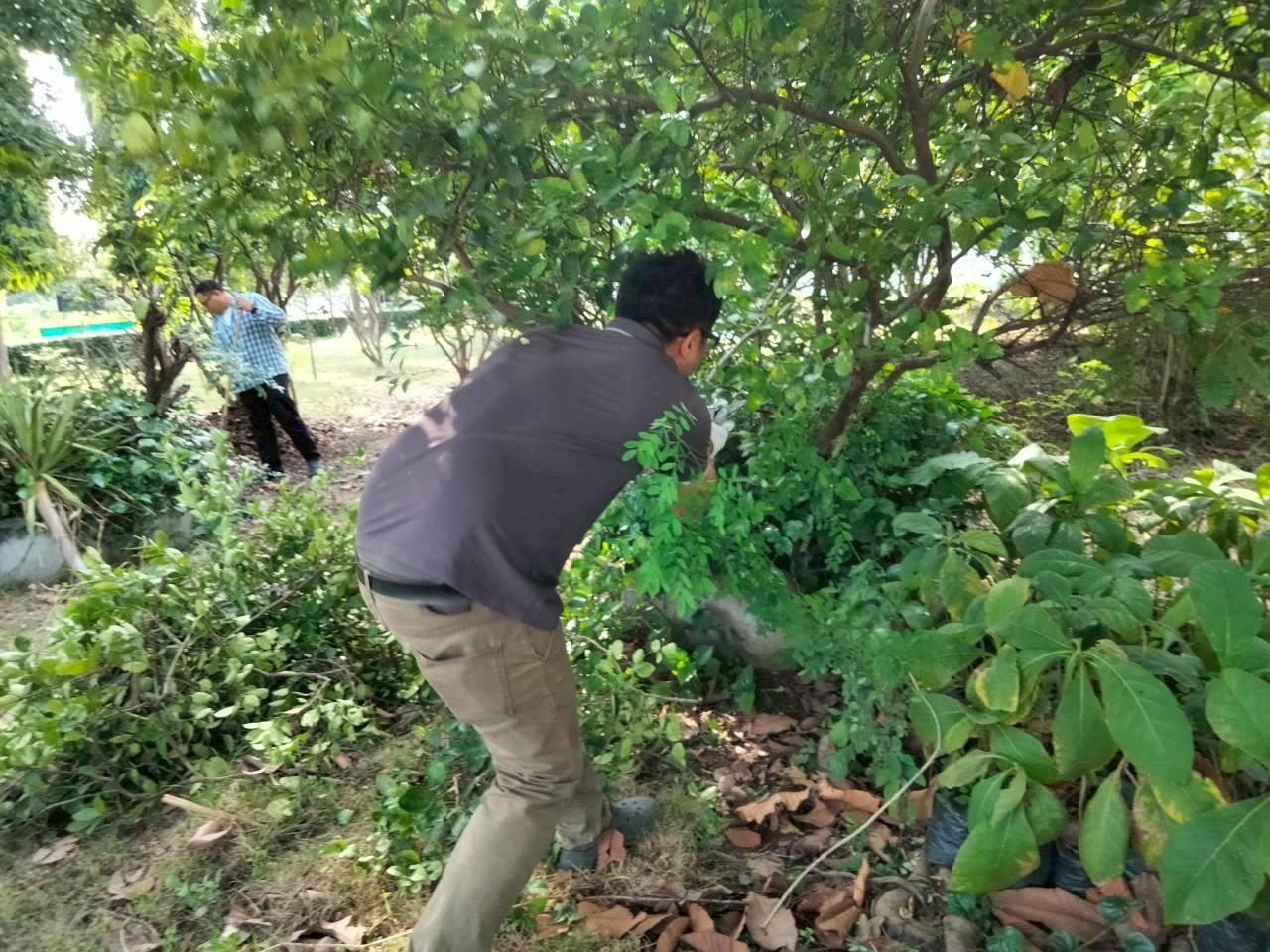 ภาพประกอบที่ 9