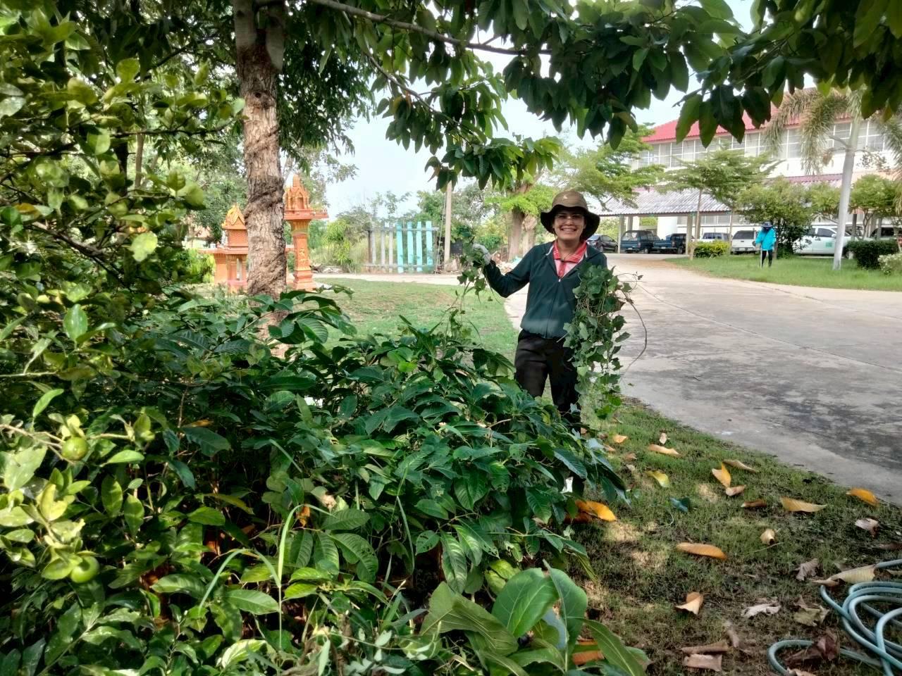 ภาพประกอบที่ 10