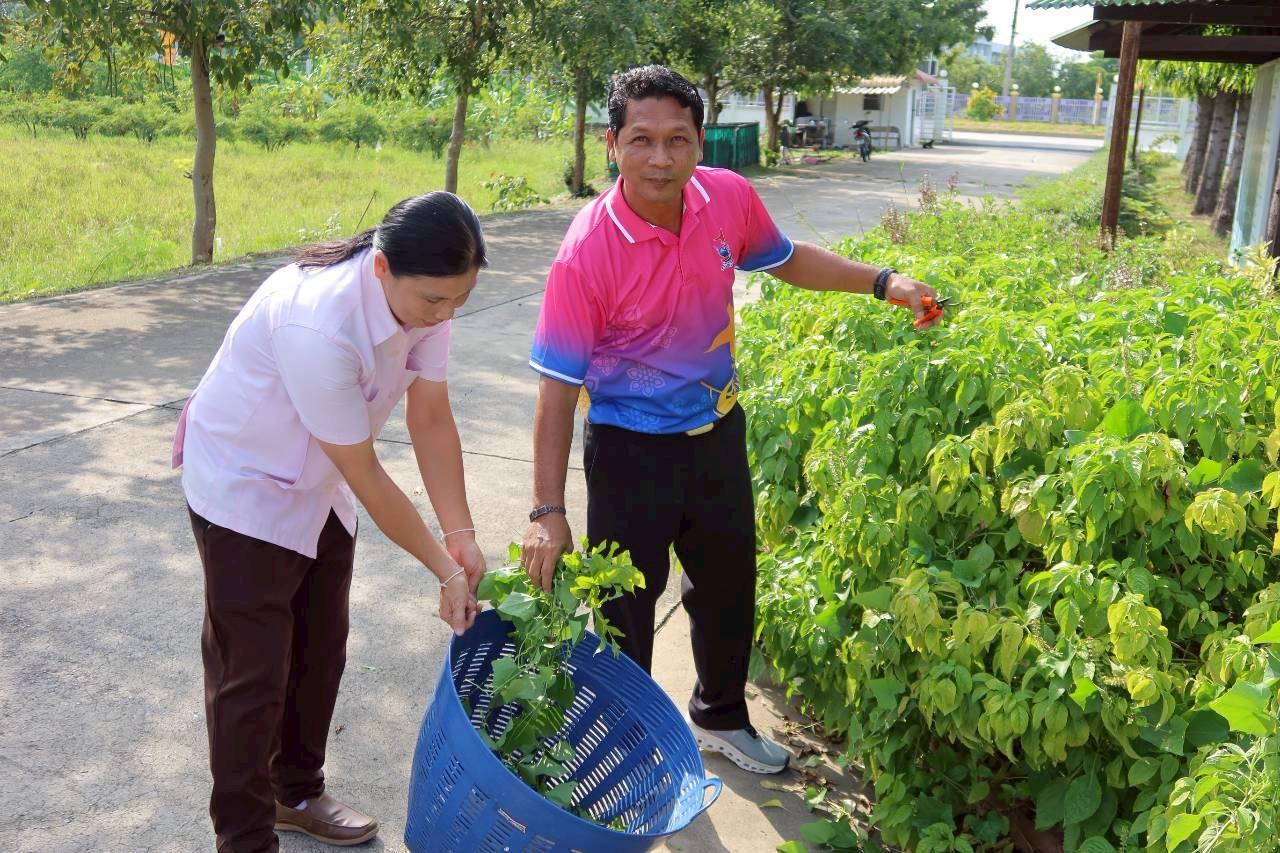 ภาพประกอบที่ 3