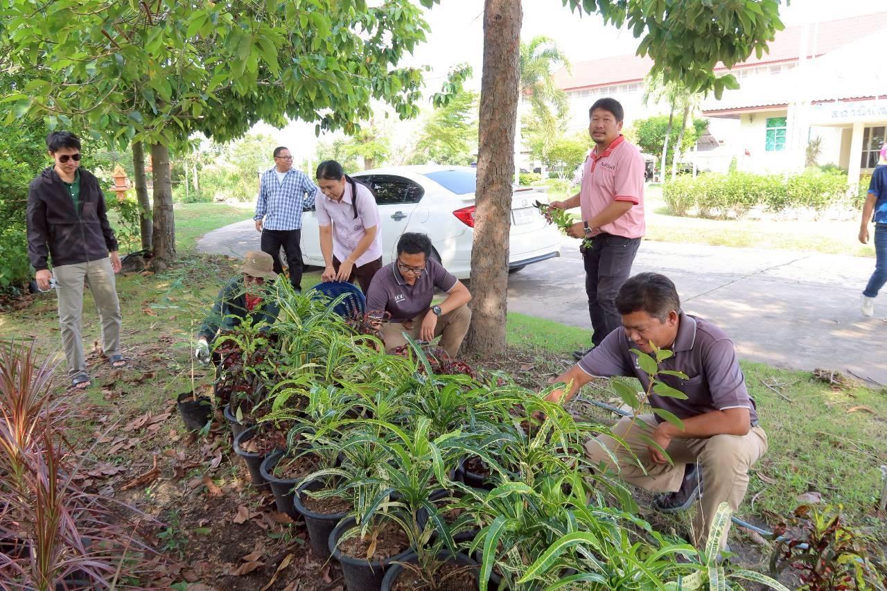 ภาพประกอบที่ 4