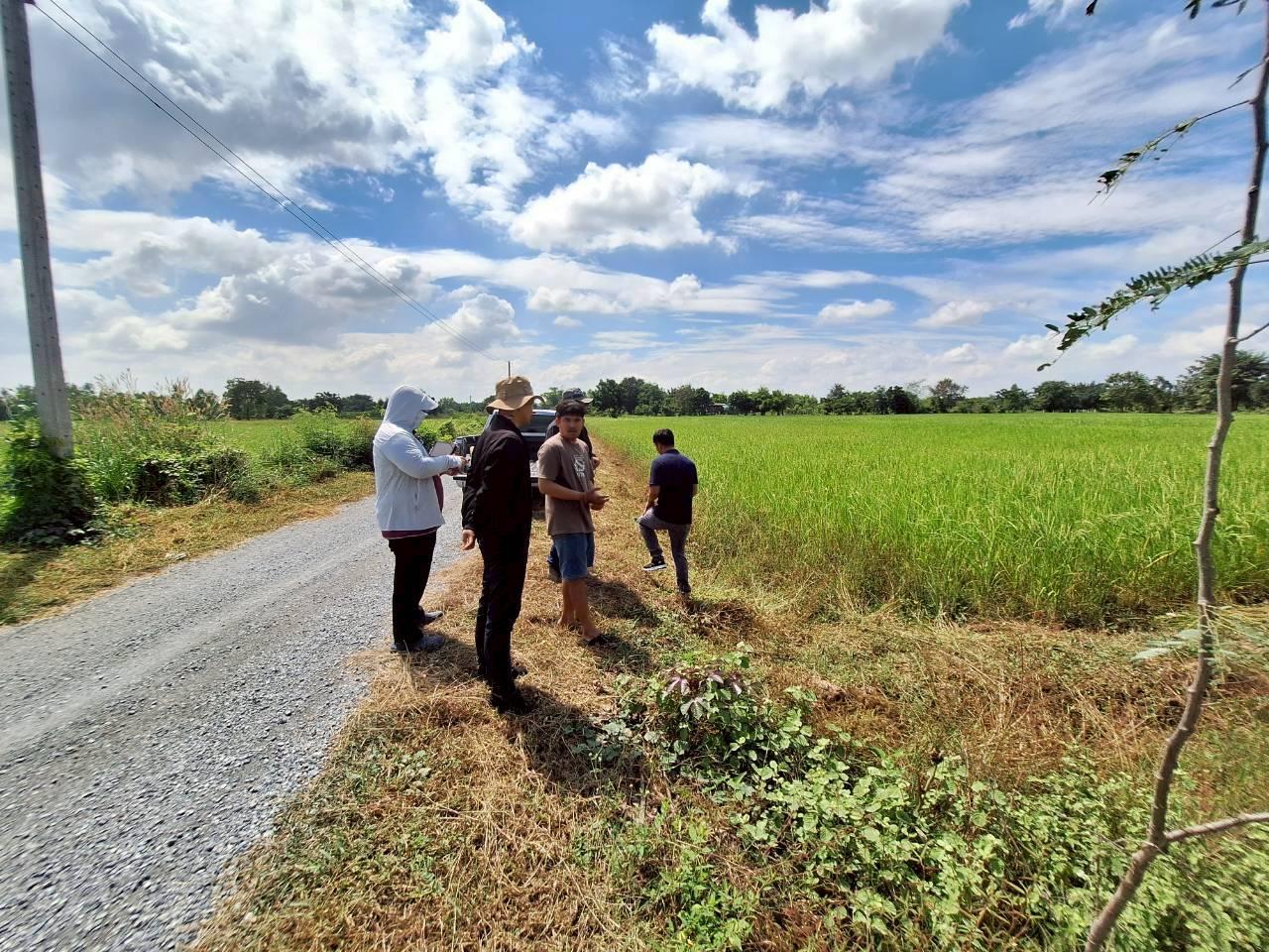 ภาพประกอบที่ 7