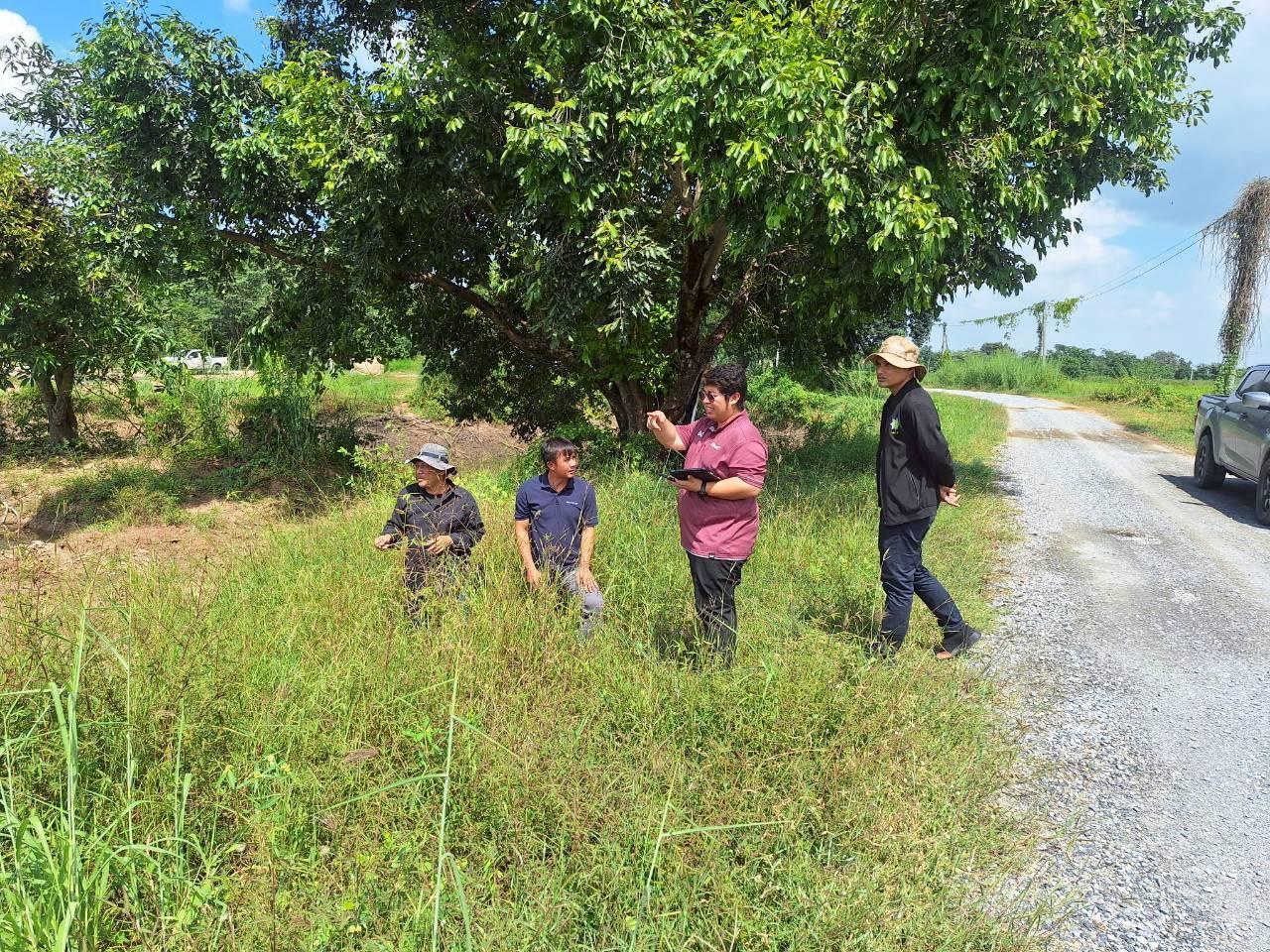 ภาพประกอบที่ 8