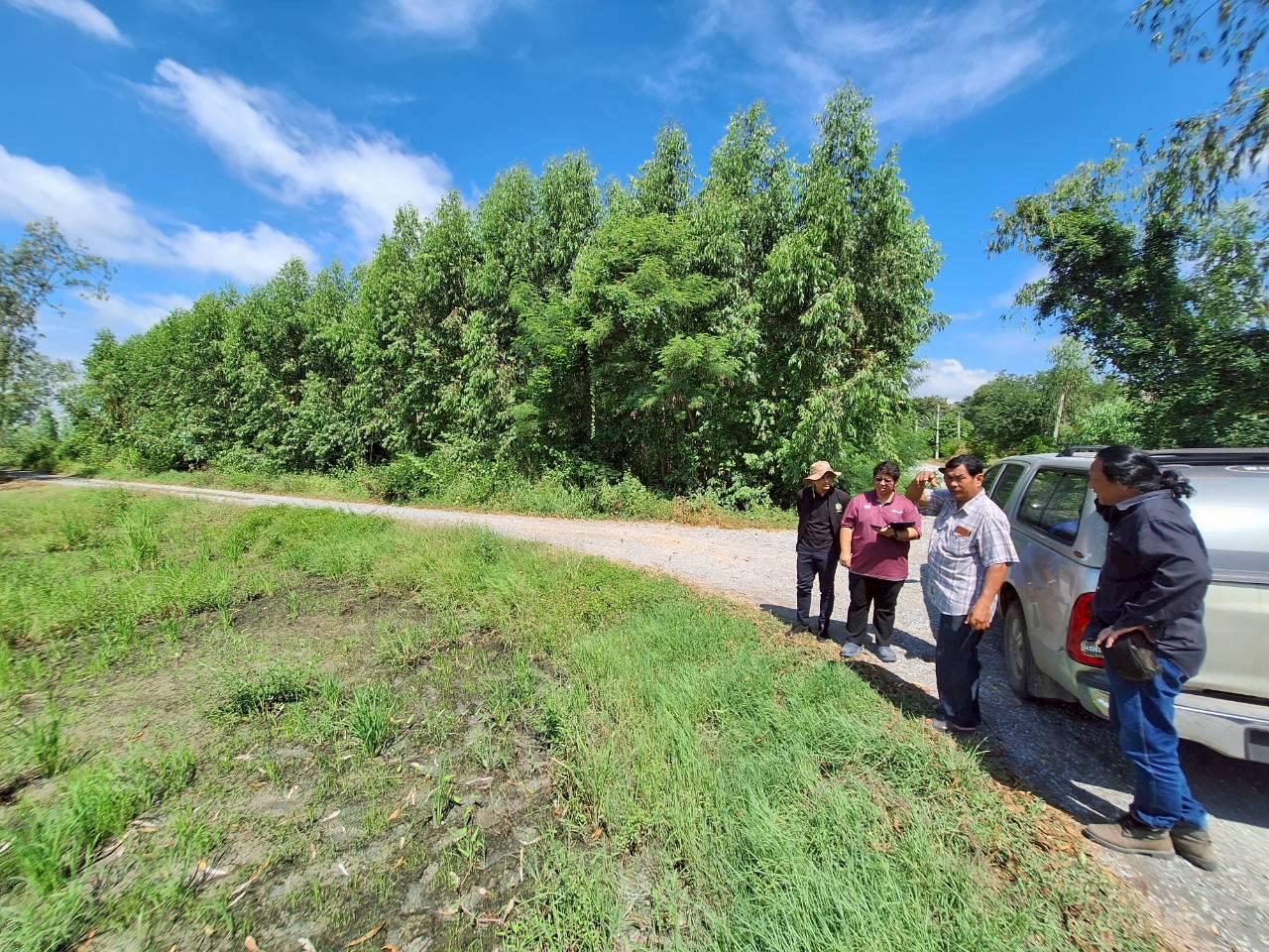 ภาพประกอบที่ 10