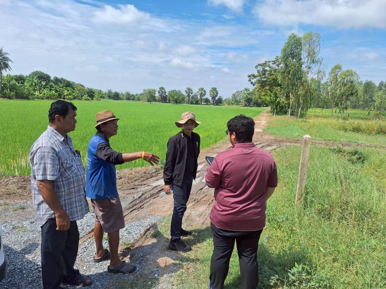 ภาพประกอบที่ 11