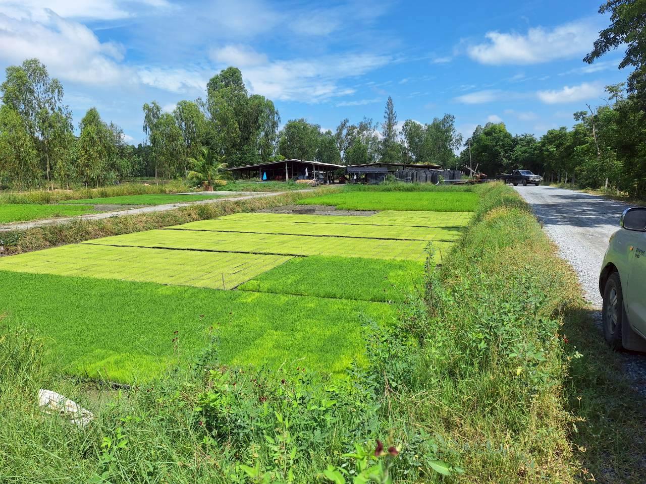 ภาพประกอบที่ 12